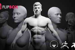Flipped Normals – Ultimate Character Basemesh & Anatomy FlipBox