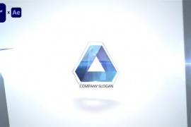 Flying Logo 47453453