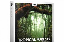 Boom Library Tropical Forests WAV-AUDIOSTRiKE