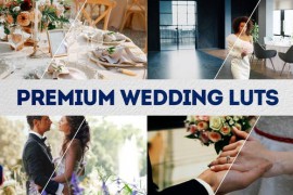 Premium Wedding LUTs | DaVinci Resolve 51757825