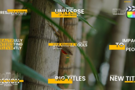Yellow Corporate Titles / FCPX 50833261