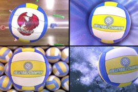 Volleyball Bumper (4 bumpers) 51945738