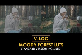V-Log Moody Forest and Standard LUTs 51434610