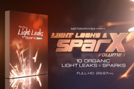 Light Leaks and Sparks Vol 1 11045596