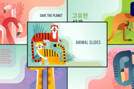 Animal Slides for Premiere Pro 51622665