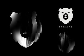 Logo Reveal 3 47367749
