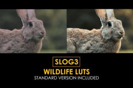 Slog3 Wildlife and Standard Color LUTs 48790004