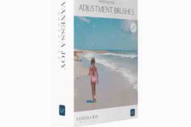 Free Download:Vanessa Joy – The Adjustment Brushes Kit for Lightroom
