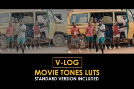 V-Log Movie Tones and Standard Color LUTs 51378584