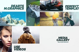 Media Gallery Premiere Pro 42079639