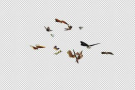 Colorful Butterflies - Large Swarm - Flying Loop - LS View 50268341