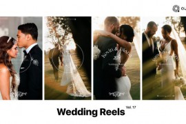 Wedding Reels Vol. 17 49308237