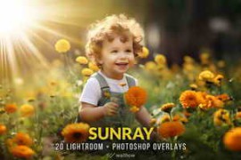 Realistic sunlight PNG and JPG overlays
