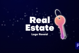 Real Estate Keys Logo Reveal 51778149