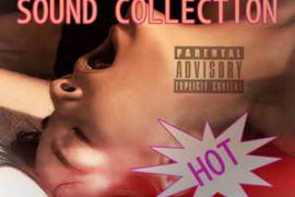 Adult Porn Sound Effects Real Women Orgasm Collection (Sex Club DJFx Hot Skins Party) FLAC