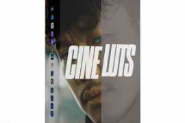 Acidbite - Cine LUTS