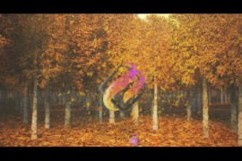 Autumn/Nature Leaf Logo Reveal 28496056