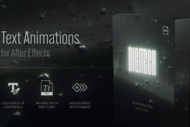 Text Animation Presets | Digitech 47600476