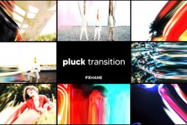 Pluck Transition 49496491