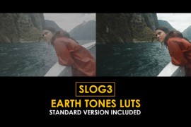 Slog3 Earth Tones and Standard Color LUTs 51104369