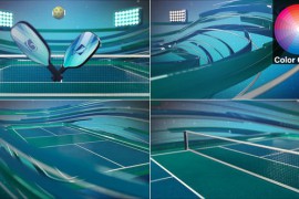 Pickleball Opener 48833133