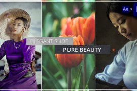 Elegant Slideshow 32684482