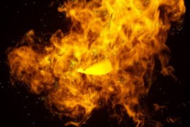 Fire Butterfly Trails Logo 48534607