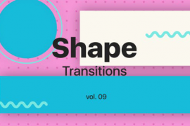 Shape Transitions Vol. 09 45533021
