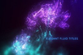 Elegant Fluid Titles Mogrt 46050513
