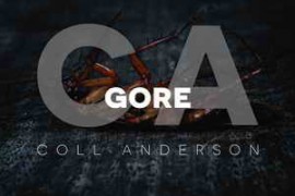 C.A. Sound Inc Gore WAV-FANTASTiC