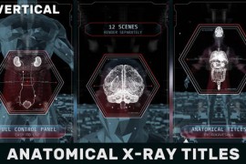 Anatomical X-Ray Titles Vertical 42887575
