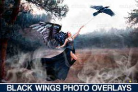Free Download:Realistic Black Angel Wings Photoshop 4181434