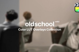 Old School Color Presets for Final Cut Pro Vol. 02 48261213
