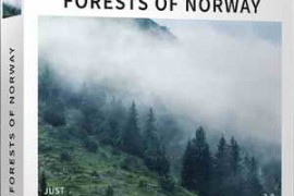 Just Sound Effects Forests of Norway Stereo WAV