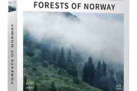 Just Sound Effects Forests of Norway Surround WAV