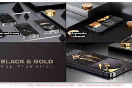 Black N Gold App Promotion 34843286