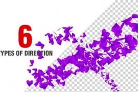 Hearts Spiral Pack Purple 52533099