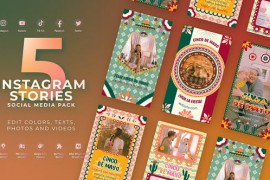 Cinco De Mayo Mexican Festival Instagram Reel 51884486