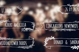 Wedding Lower Thirds 49483382