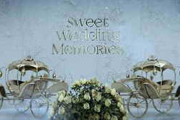 Free Download:Sweet Wedding Memories 47415826
