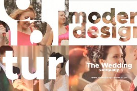 The Wedding Premiere Pro 43192336