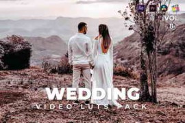 Wedding Pack Video LUTs Bundle