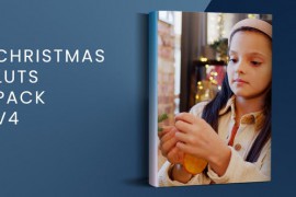 Christmas LUTs Pack V4 | FCPX 49923204