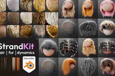 Blender – Strandkit The Hair, Fur & Dynamics Library