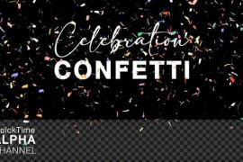 Celebration Confetti 38338052