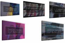 Vamify – All LUTs