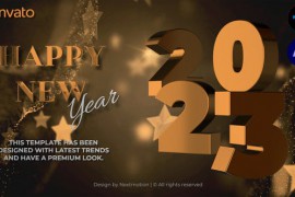 Happy New Year Intro 41063396