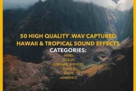 Jakob Owens Productions Tropical Hawaii Sound Effects Pack Vol.1 WAV