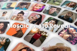 Mosaic Photo Reveal 48190476