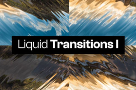 10 Liquid Transitions I 48593927